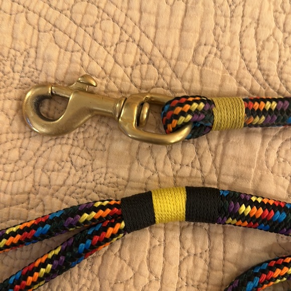Rainbow braided dog leash - Picture 3 of 3